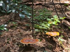 -黄公望隐居地