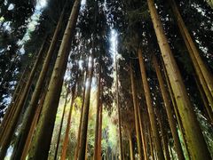 -太阳湾风景区