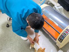 -安安宠医·安宠宠物医院