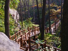 -大岭沟猕猴桃谷风景区