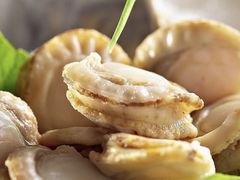 獐子岛扇贝肉-红鼎豆捞·非遗鲍皇汤火锅(宝丰路店)