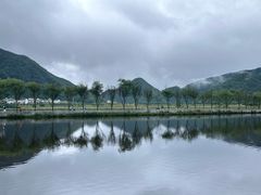 -大九湖