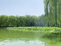 -团结湖公园