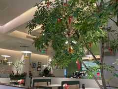 -Aqua Oasis 水天堂(太湖中心mall店)