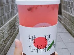 -树夏(锦里店)