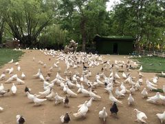 -南通洲际绿博园