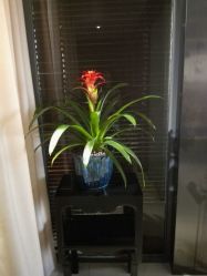 -Face Score美甲美睫皮肤管理