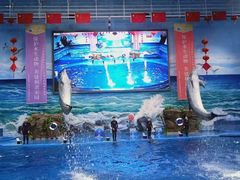 -多彩贵州城极地海洋世界