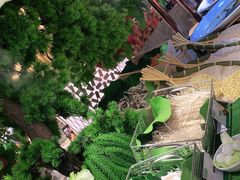 -亚马逊海鲜自助(梅溪湖步步高店)