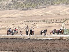 -扁都口生态休闲旅游区