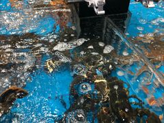 -盒马鲜生(王府广场店)