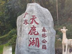 -天鹿湖森林公园