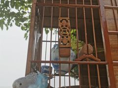 -乡乐园蟹庄·阳澄湖农家乐