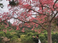 -风云岭森林公园