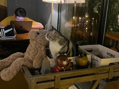 -咖法森林·咖啡  酒吧(天河店)