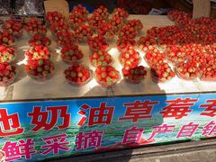 -葑门横街