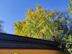 -西园戒幢律寺