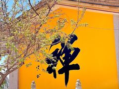 -梅州天地人花园酒店(梅县人民广场店)