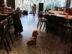 -Moka Bros 摩卡站(嘉华店)