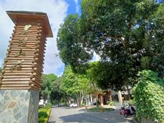 -南宁良凤江国家森林公园