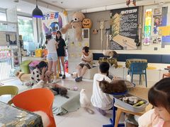 -平行世界·猫咖(首经贸店)