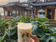 -奈雪的茶(湖滨银泰in77C区PRO店)