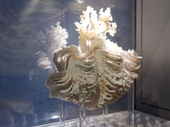-中国湿地博物馆