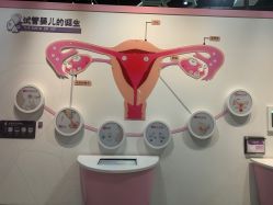 -北京科学中心儿童乐园