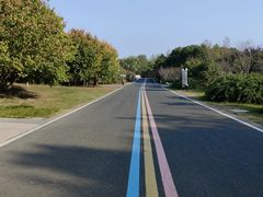 -同里国家湿地公园