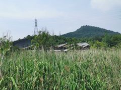 -西湖风景区-江洋畈生态公园