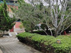 -大钟寺古钟博物馆