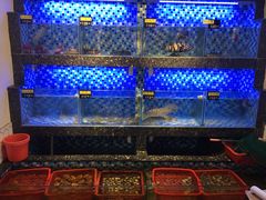 -朴厝私房菜(鼓浪屿店)