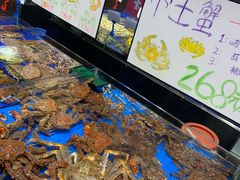 水产区-船歌·鱼水饺青岛菜(闽江二路店)
