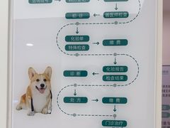 -瑞派康怡24h宠物医院·犬猫医疗中心·微创绝育(瑞景分院)