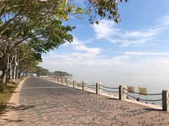 -深圳湾公园(南山区)