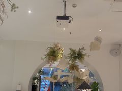 -春树下·树屋花房西餐厅(罍街AS1980店)