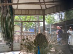 -天毓山庄·餐厅