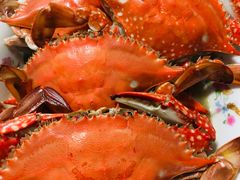 -芦潮港集贸市场