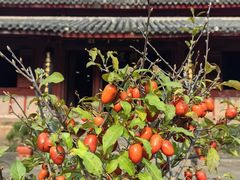 -宁波市保国寺古建筑博物馆