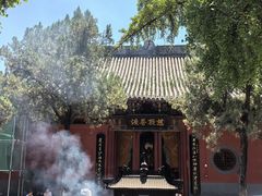 -洛阳白马寺
