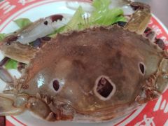 -万达广场(济南高新店)
