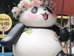 -轩客会(熊猫书店)