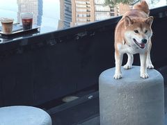 -SAANCI山池咖啡(海上世界文化艺术中心店)