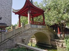 -龙潭水乡