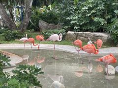 -三亚蜈支洲岛旅游区