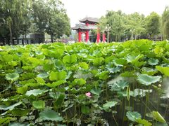-四川大学(望江校区)