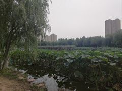 -前关湿地公园