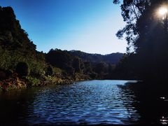 -深圳仙湖植物园