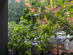 -Ocean's Table 欧舍