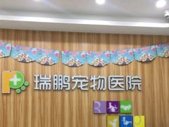 -瑞鹏宠物医院·骨科·猫科·内科(第一中心)